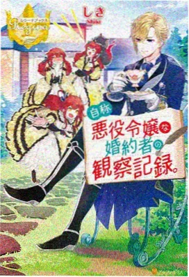 齿轮与萤火 番剧封面