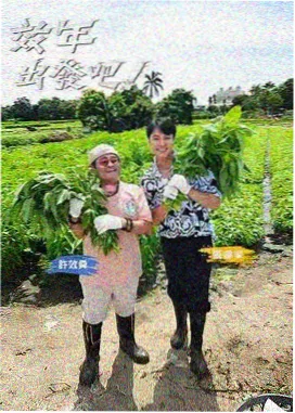 山与海的食谱 综艺封面